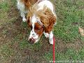 2010-08-07 03